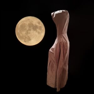 Via Seta Tan Pure Silk Hooded Shirt/ Jacket Size 12